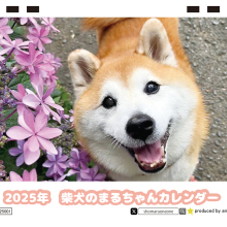 66f665b54961f500010356e4
