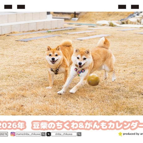 【予約販売】 柴犬 豆柴のちくわ＆がんも 2026年 卓上カレンダー TC26276