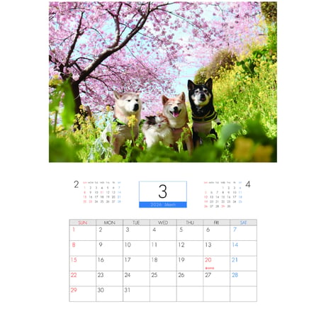 【予約販売】 柴犬 モカ＆アン＆サラ 2026年 壁掛けカレンダー KA26082