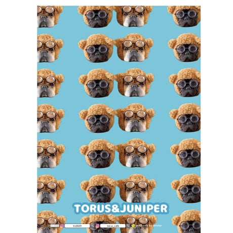 【予約販売】 フレンチブルドッグ torus トーラス 犬 家計簿 CA001NN