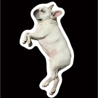 【予約販売】 ふく フレンチブルドッグ 犬 ステッカーNo26 3枚セット SU026NN
