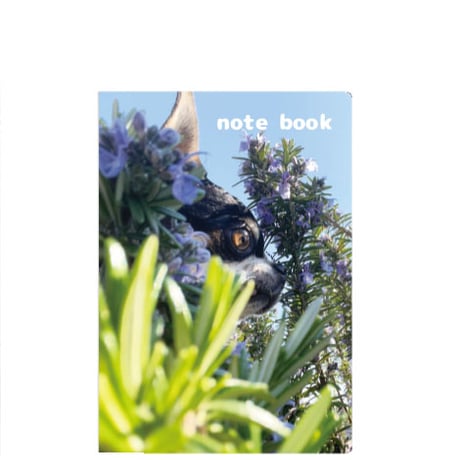 【予約販売】 ちわわん生活 チワワ 犬 A5ノート帳 No007NN