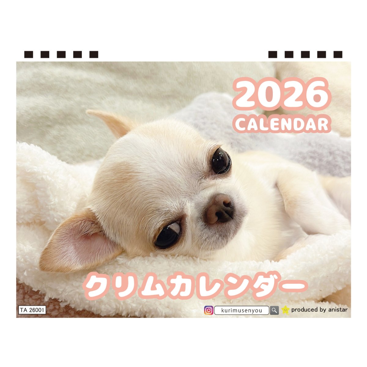 オーダー受付　Xmas　チワワ　ご予約ページ　10/28 オーダー受付 Xmas チワワ ご予約ページ 10/28 【公式通販】