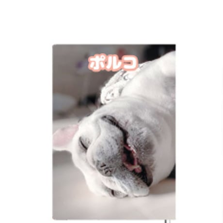 【予約販売】 フレンチブルドッグ犬のポルコ 2025年 日記帳 DR25215