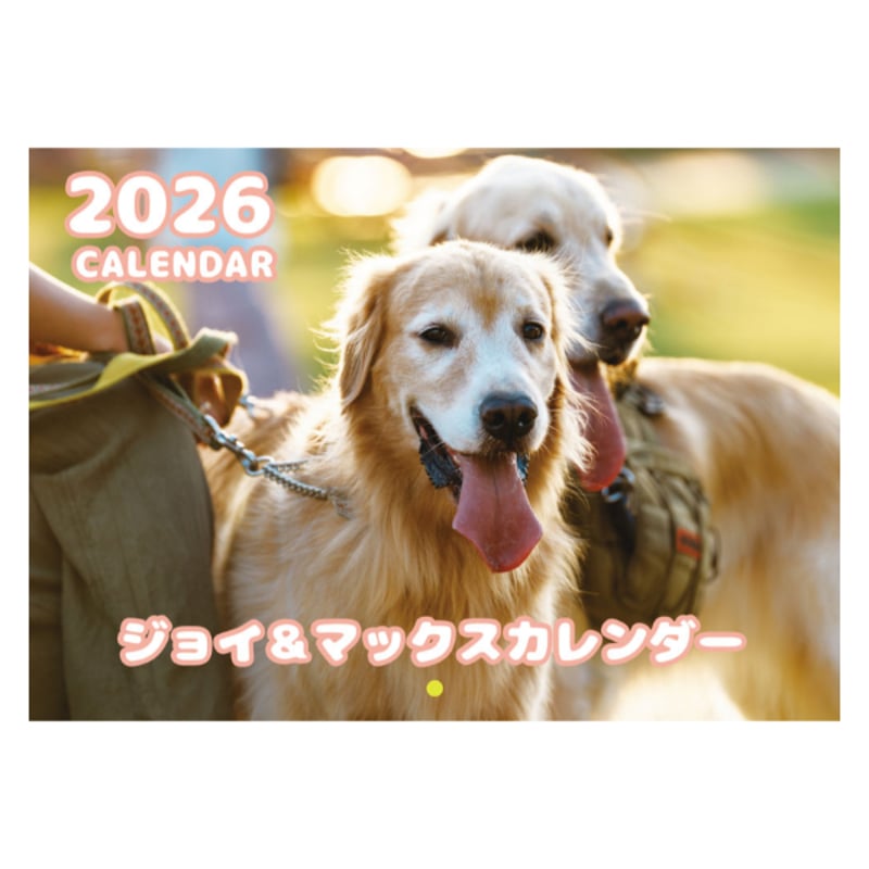 予約販売】 ジョイ＆マックス 犬 2026年 壁掛け カレンダー KK26323