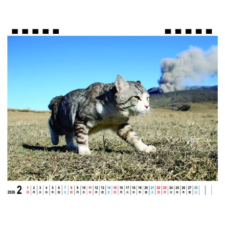 【予約販売】 旅猫 ニャン吉 2026年 卓上カレンダー TA26097