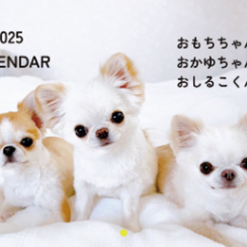 予約販売】 チワワ犬のおもちちゃん＆おかゆちゃん＆おしるこ