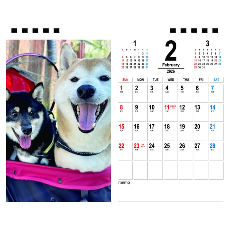 【予約販売】 こた兄さん 柴犬 2026年 卓上カレンダー TA26218