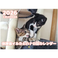 【予約販売】 保護猫イルカとハナ日記 2026年 壁掛けカレンダー KK26246