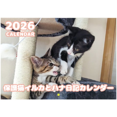 【予約販売】 保護猫イルカとハナ日記 2026年 壁掛けカレンダー KK26246