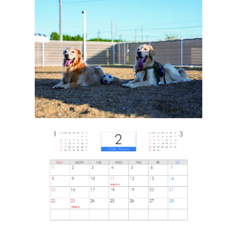 予約販売】 ジョイ＆マックス 犬 2026年 壁掛け カレンダー KK26323