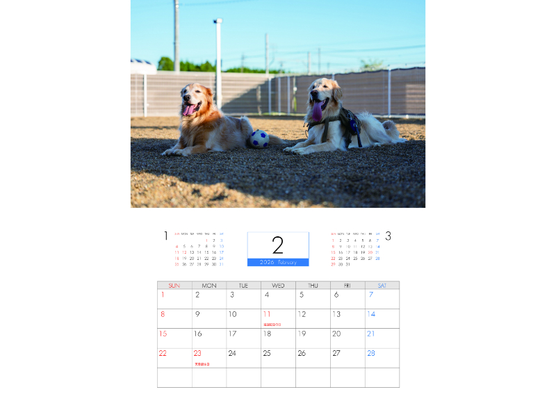 予約販売】 ジョイ＆マックス 犬 2026年 壁掛け カレンダー KK26323