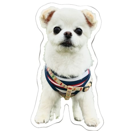 【予約販売】 てんちゃん・たるちゃん 犬 ステッカー 3枚セット SU018NN