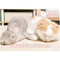 【予約販売】 うさぎのコガラナ天パのうさハムch 2026年 壁掛けカレンダー KA26190