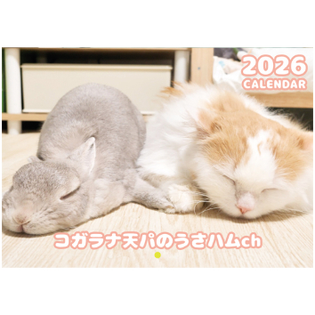 うさページ 予約販売】 うさぎのコガラナ天パのうさハムch 2026年 壁掛け