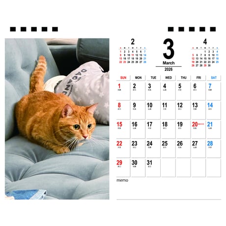【予約販売】 猫のもち 2026年 卓上カレンダー TA26253