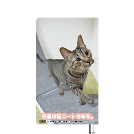 【予約販売】 吾輩は猫ニートである。 いろは 2026年 ポケットスケジュール帳 PO26350