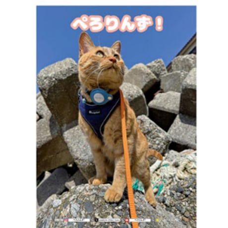 【予約販売】 ゴールデンレトリバー犬＆保護猫 ぺろりんず！ 2025年 家計簿帳 CA25011