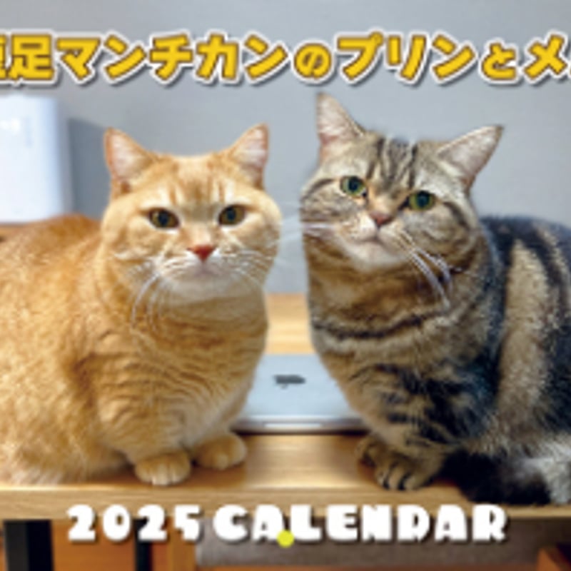 予約販売】 短足マンチカンのプリンとメル 2025年 壁掛け 予約販売】 短足マンチカンのプリンとメル 2025年 壁掛け