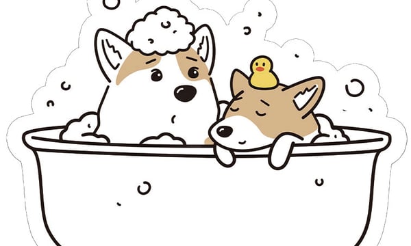 マロ姫様❤ダックス プードル 印鑑スタンド♡キッチンタイマー キッチンタイマー かわいい 通販 とびだすキッチンタイマー 鳩時計