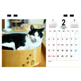 【新品】名前はまだない。 猫 2025 卓上カレンダー直筆サイン入チェキ 予約販売】 猫のにゃんたま 2025年 ECO卓上半面 カレンダー