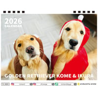 【予約販売】 コメ&イクラ ゴールデンレトリバー 犬 2026年 卓上半面 カレンダー TA26287
