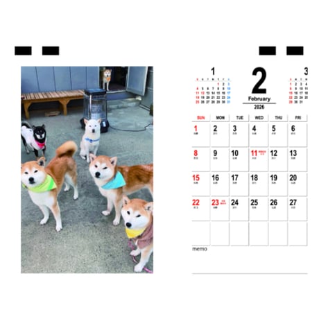 【予約販売】 柴犬みかん園ファミリー 2026年 卓上 カレンダー TC26327