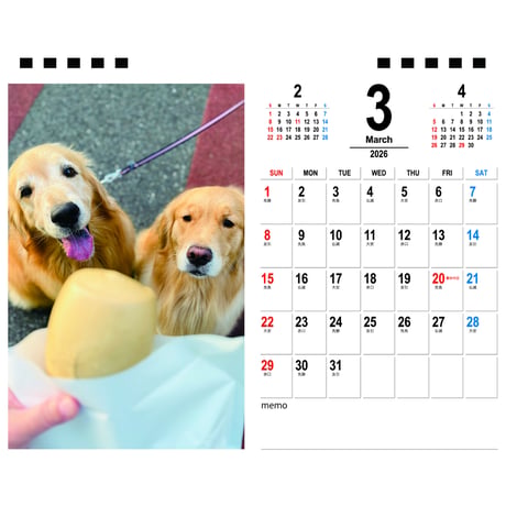 【予約販売】 コメ&イクラ ゴールデンレトリバー 犬 2026年 卓上半面 カレンダー TA26287
