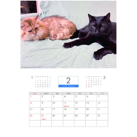 【予約販売】 保護猫とTOSAN家ch 2026年 壁掛けカレンダー KK26132