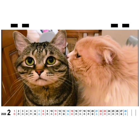 【予約販売】 猫のピノパル兄弟ニャン喜劇 2026年 卓上カレンダー TC26158