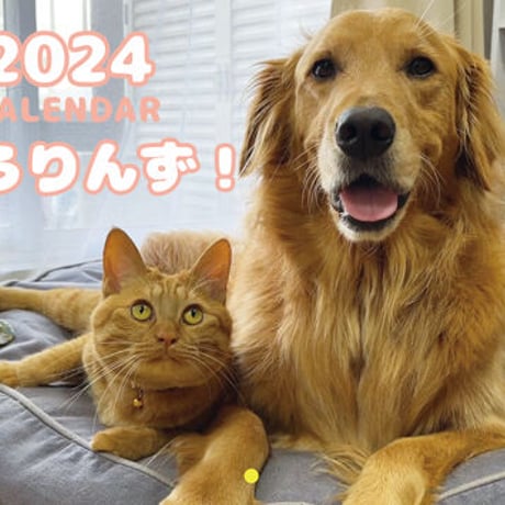 【予約販売】 ゴールデンレトリバー犬＆保護猫 ぺろりんず！ 2024年 壁掛け カレンダー KK24047
