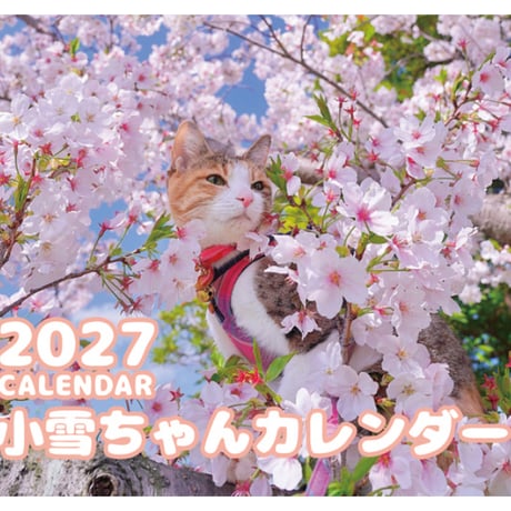 【予約販売】 小雪ちゃん 猫 2027年 壁掛け カレンダー KK27008