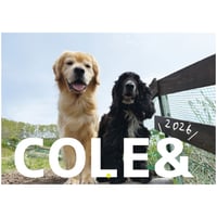 【予約販売】 ゴールデンレトリバー犬のこーる君たち 2026年 壁掛けカレンダー KA26232