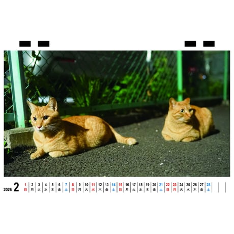 【予約販売】 ねこかます 猫 2026年 卓上 カレンダー TC26050