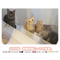 【予約販売】 吾輩は猫ニートである。 2026年 卓上 カレンダー TC26348