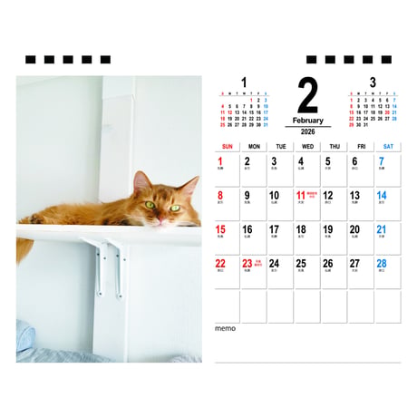 【予約販売】 しぴ＆おこめ 猫 2026年 卓上カレンダー TA26243