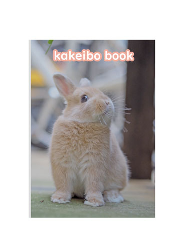 うさぎ うさぎのしっぽ通販は、『うさぎと暮らす81号』を全国へお届け
