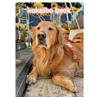 【予約販売】 ゴールデンレトリバー犬＆保護猫 ぺろりんず！ 2025年 家計簿帳 CA25011