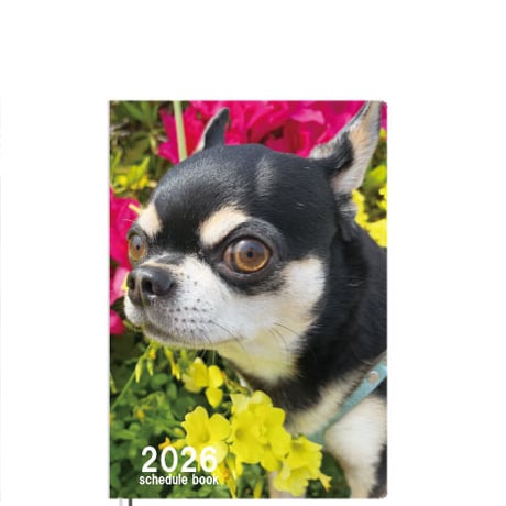 【予約販売】 ちわわん生活 チワワ 犬 2026年 A5スケジュール帳 A526142