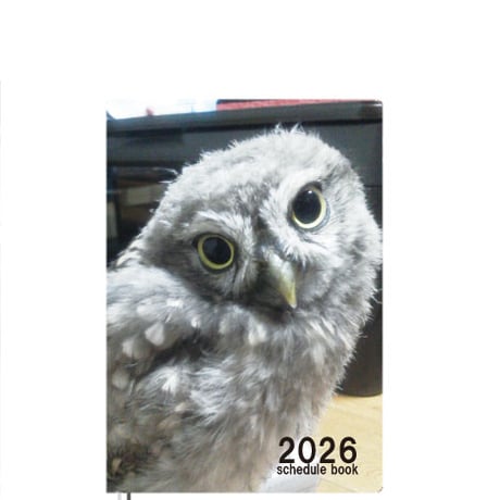【予約販売】 ふくろうのトゥルちゃん 2026年 A5スケジュール帳 A526109