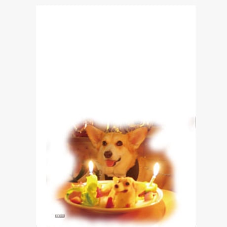 【予約販売】 初めてのコーギー 犬 家計簿 CA004NN