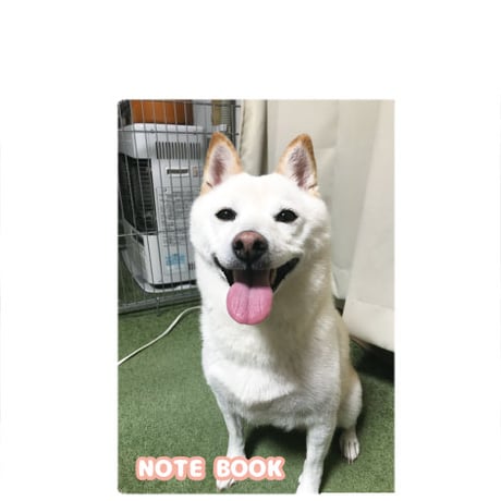 【予約販売】 白柴 小梅 犬 A5ノート帳 No010NN