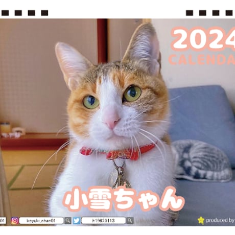 【予約販売】 猫の小雪ちゃん 2024年 卓上 カレンダー TC24200
