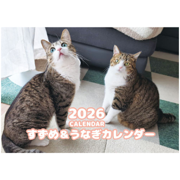 予約販売】 すずめ＆うなぎ 猫 2026年 壁掛けカレンダー KA26091 | ANISTAR