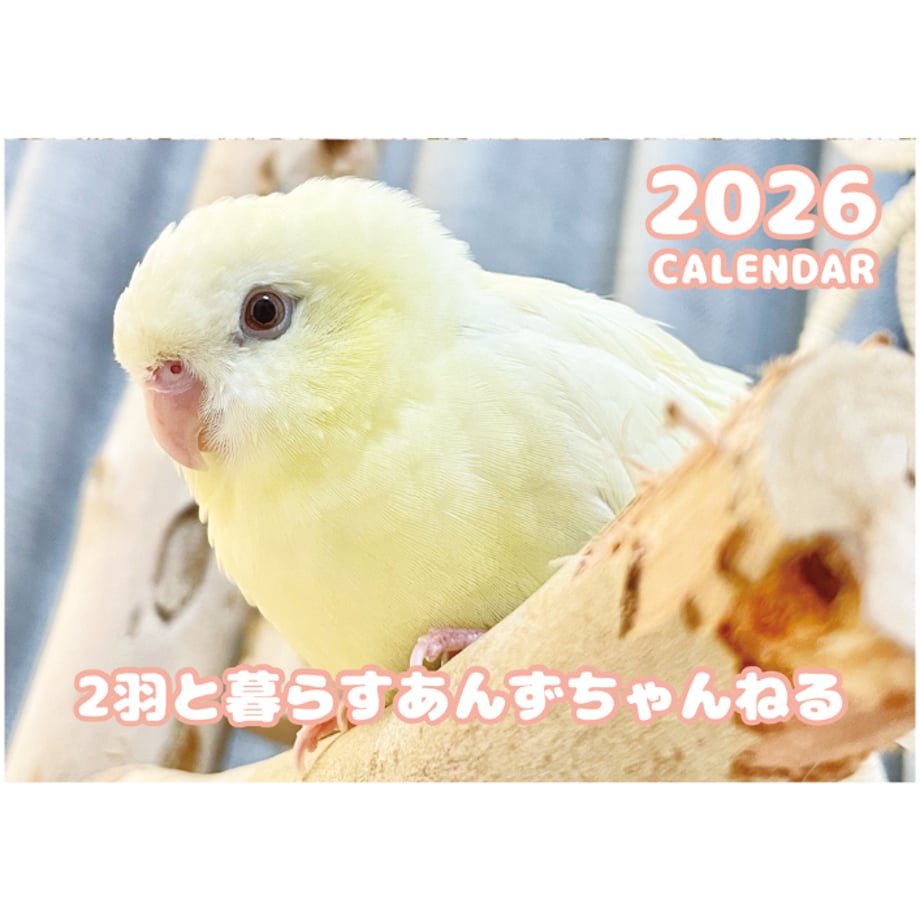 68f84830c6500833f1321164