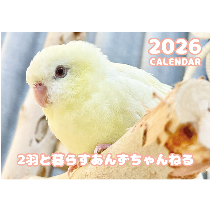 予約販売】 2羽と暮らすあんずちゃんねる インコ 2026年 壁掛け