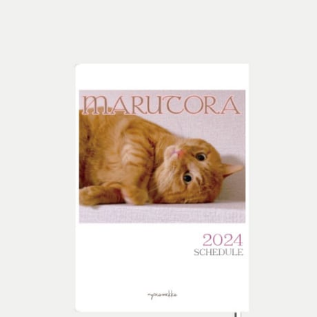 【予約販売】 猫のにゃろめっこ 2024年 A5 スケジュール帳 AF24252