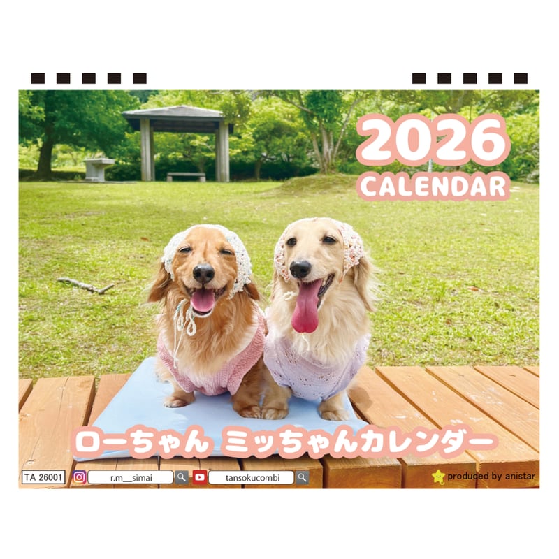 予約販売】 ローちゃん ミッちゃん ダックスフンド 犬 2026年 卓上半面