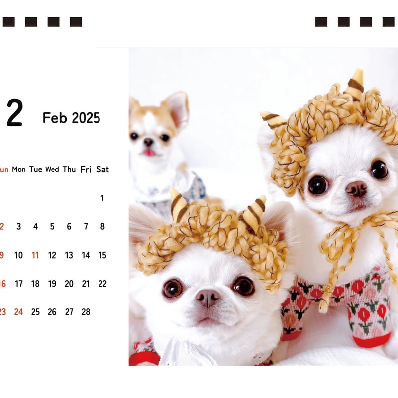 予約販売】 チワワ犬のおもちちゃん＆おかゆちゃん＆おしるこ