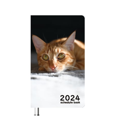 【予約販売】 猫のぱんくん 2024年 ポケットサイズ スケジュール帳 PO24130